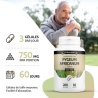 Pygeum Africanum (Prunier d'Afrique) - 200 gélules x 250 mg