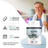 Olivier (extrait de feuilles) 500 mg x 100 gélules