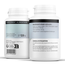 Olivier (extrait de feuilles)  500 mg x 200 gélules
