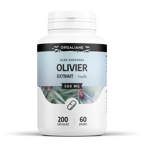 Olivier (extrait de feuilles)  500 mg x 200 gélules