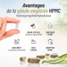 Saule Blanc  Bio - 200 mg x 200 gélules végétales