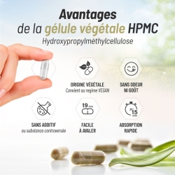 Saule Blanc  Bio - 200 mg x 100 gélules végétales
