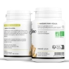 Saule Blanc  Bio - 200 mg x 100 gélules végétales