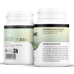 Saule Blanc - 100 gélules x 200 mg