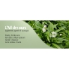 Ail des Ours - 280 mg x 180 gél.