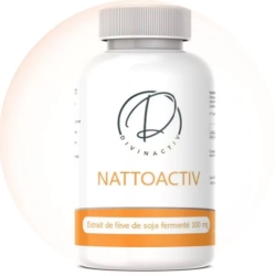 NATTOACTIV (Nattokinase) 90 gélules