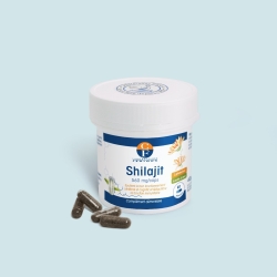 Shilajit -  560 mg x 60 gélules végétales