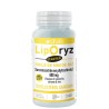 LipOryz Starter  80 capsules
