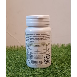 Vegizen - 60 gélules x 162 mg