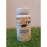 LipOryz Starter  80 capsules