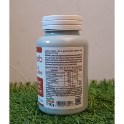 Diamistab - 120 gélules x 386 mg