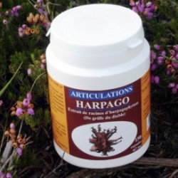 Harpagophytum extrait -150 caps x 467mg