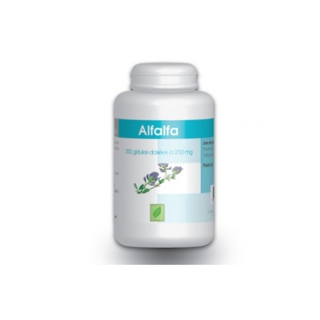 ALFALFA  250 mg x 200 gélules