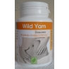 Yam