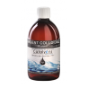 Argent colloïdal 20 ppm 500 ml