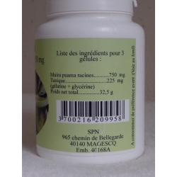 Muira Puama - 250 mg x 100 gélules