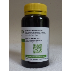 Damiana  500 mg x 60 gélules