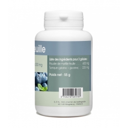 Myrtille Feuille 200 mg