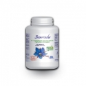 Bourrache Huile  -  503 mg x 100 mg