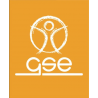 GSE